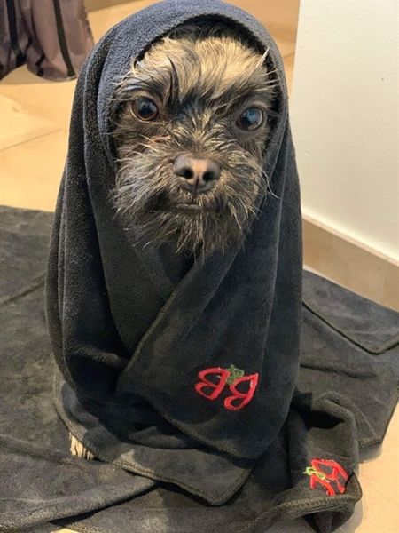 Hovedbilde Håndklæde 90x55cm, B&B