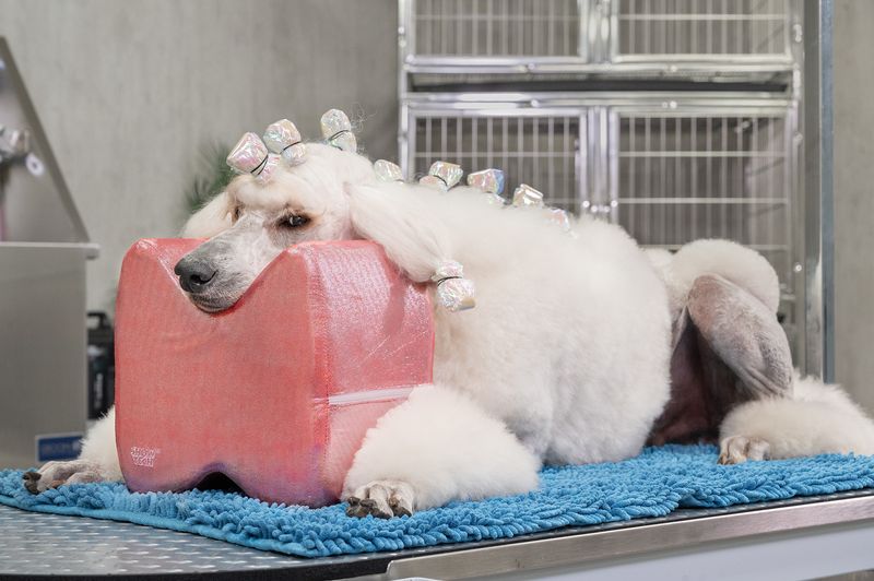 Grooming pute rød Topknot Cushion Glitzy (Big), ShowTech