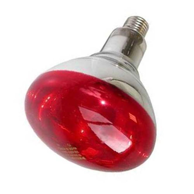 Hovedbilde  Infrarød lampe 250W, Ibanez