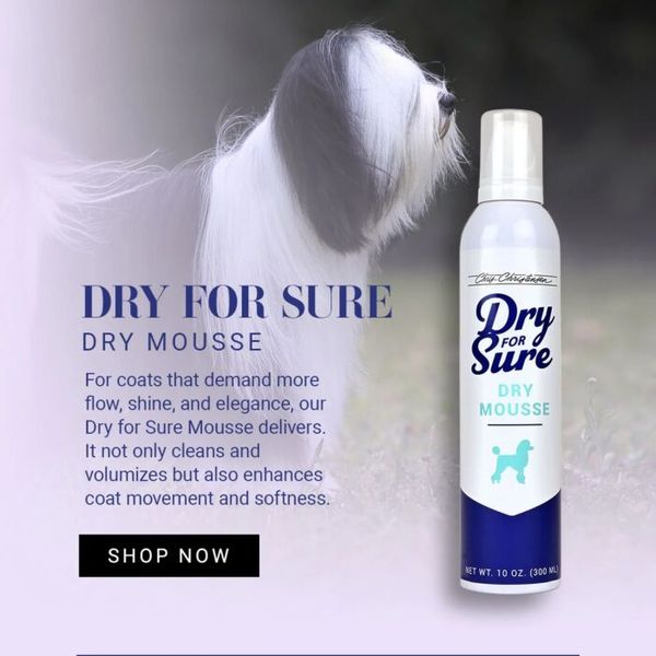Hovedbilde Dry For Sure Mousse 300ml, Chris Christensen