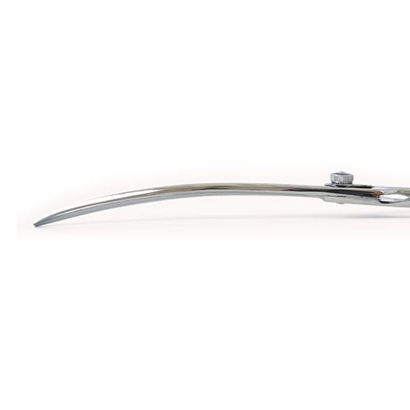 Evidence Troya buet saks 20,5 cm, Ibanez
