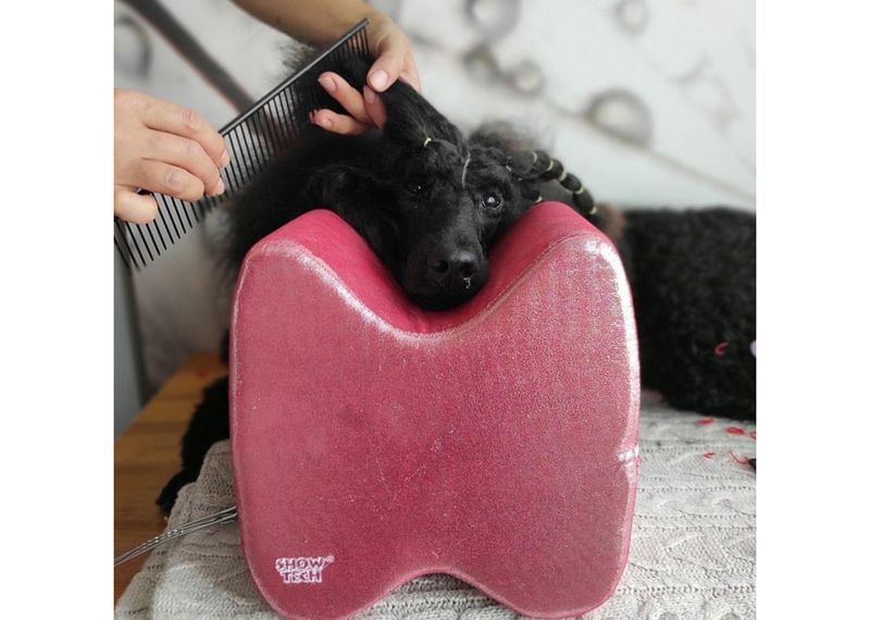 Grooming pute rød Topknot Cushion Glitzy (Big), ShowTech