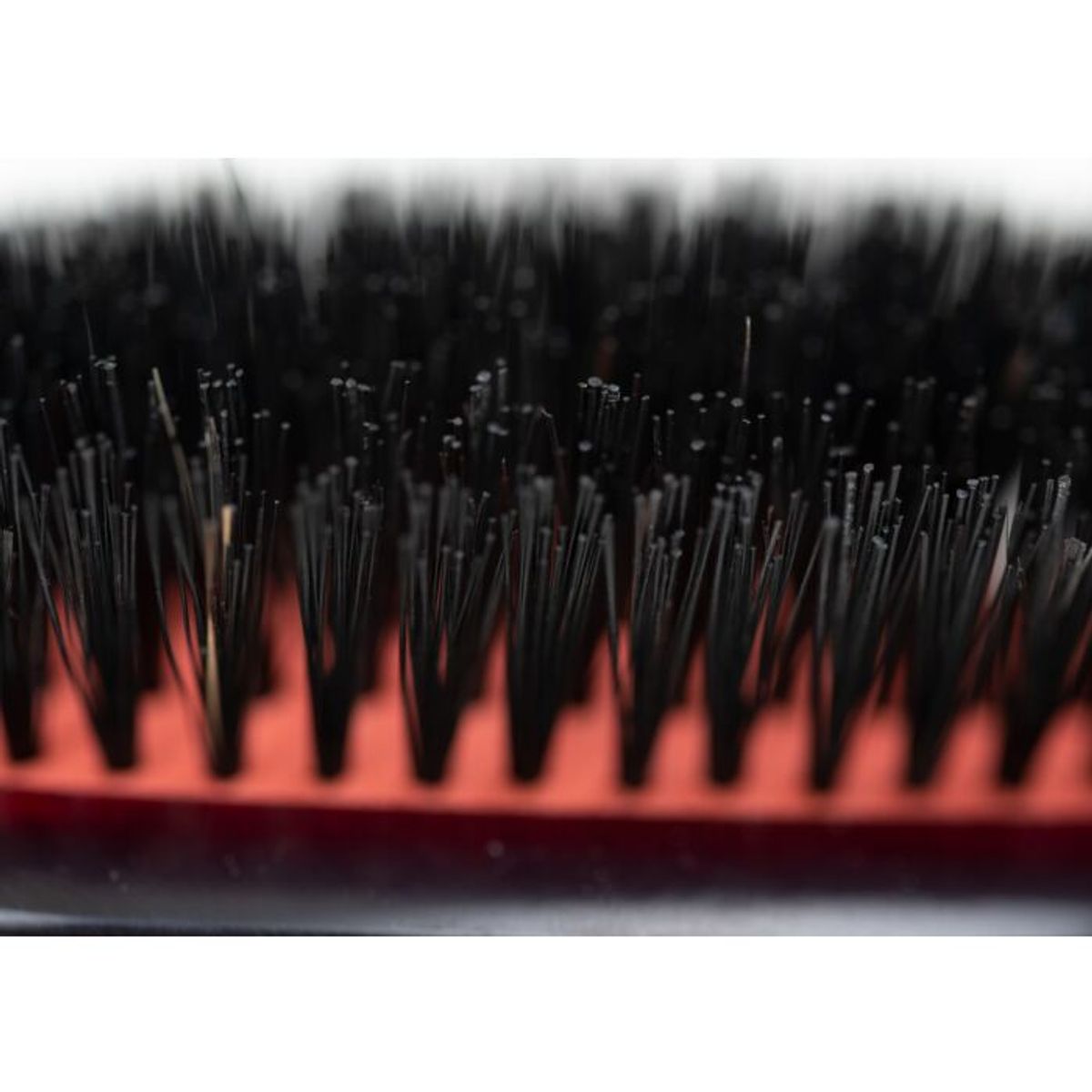 MP Brush Pure-Bristle Large Brush, Yento