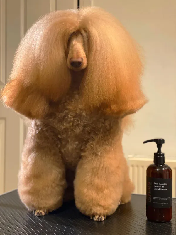 Pro-Keratin Leave-In Conditioner 1,89l, iGROOM