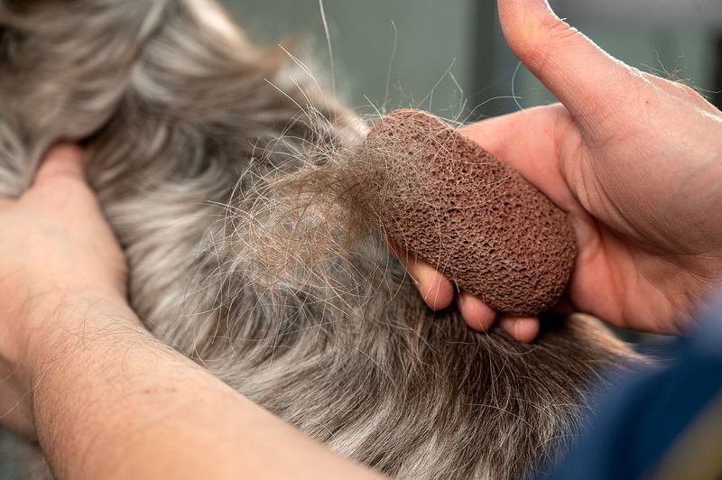 Grooming stone (Grå) 8x4x3cm, ShowTech