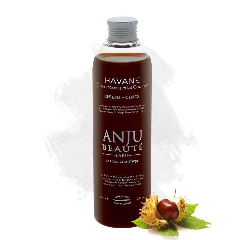 Havane Shampo 500 ml, Anju-Beautè