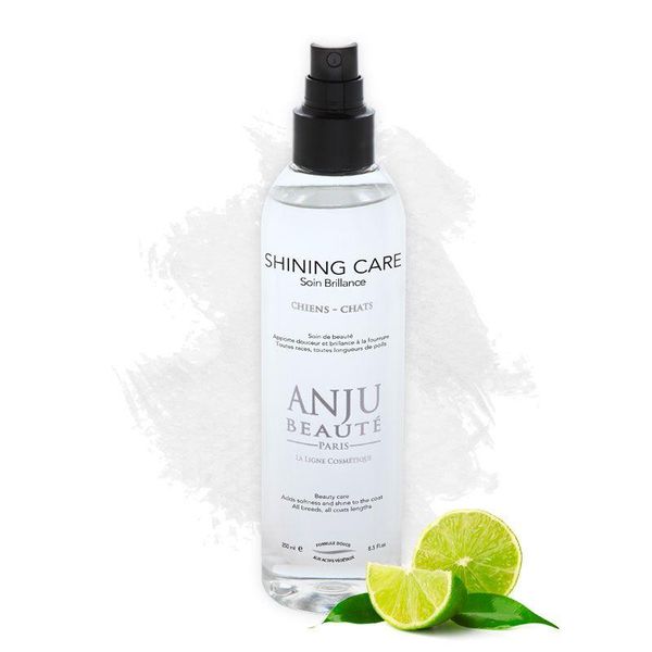 Hovedbilde Shining Spray 150 ml, Anju-Beautè