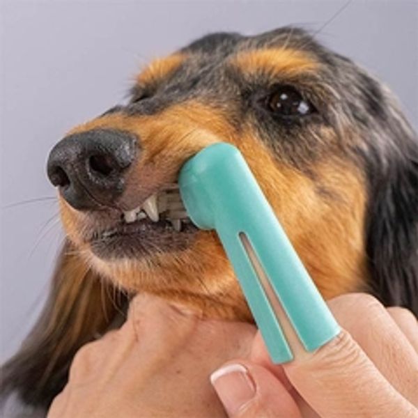 Hovedbilde Tann og gummi Finger Brush, Ibanez