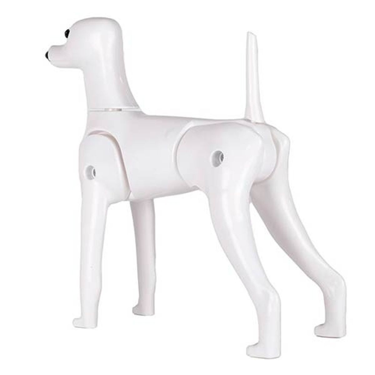 Model Dog Body Educational Dog (without head!), Starzclub