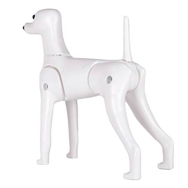 Hovedbilde Model Dog Body Educational Dog (without head!), ...