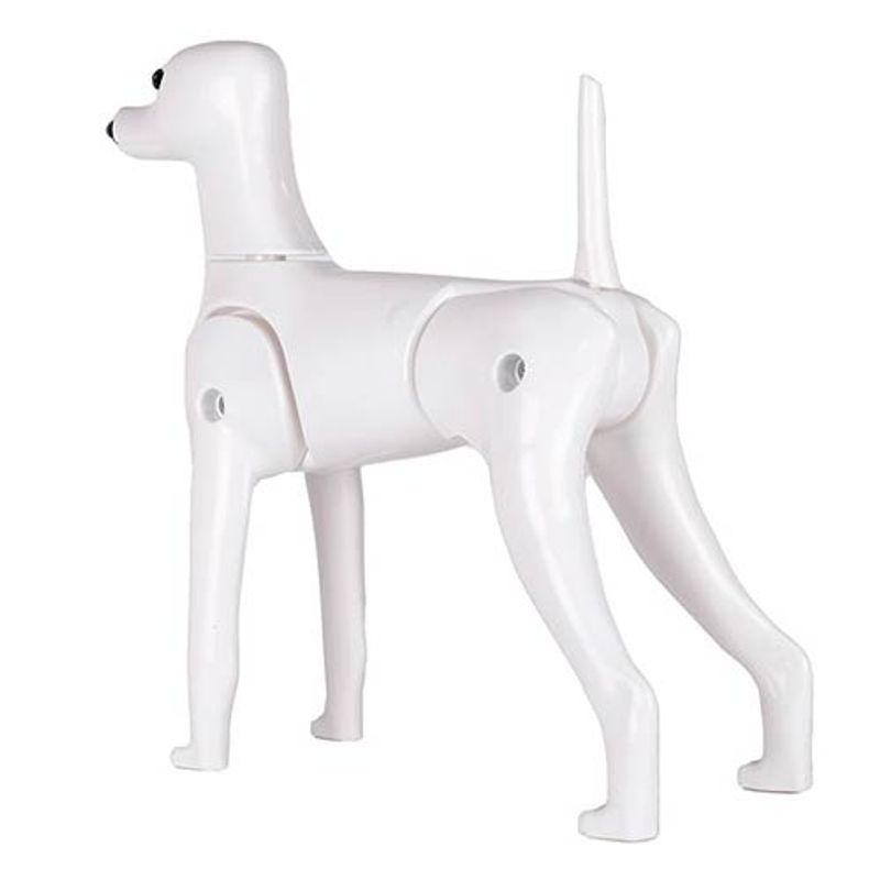 Model Dog Body Educational Dog (without head!), Starzclub