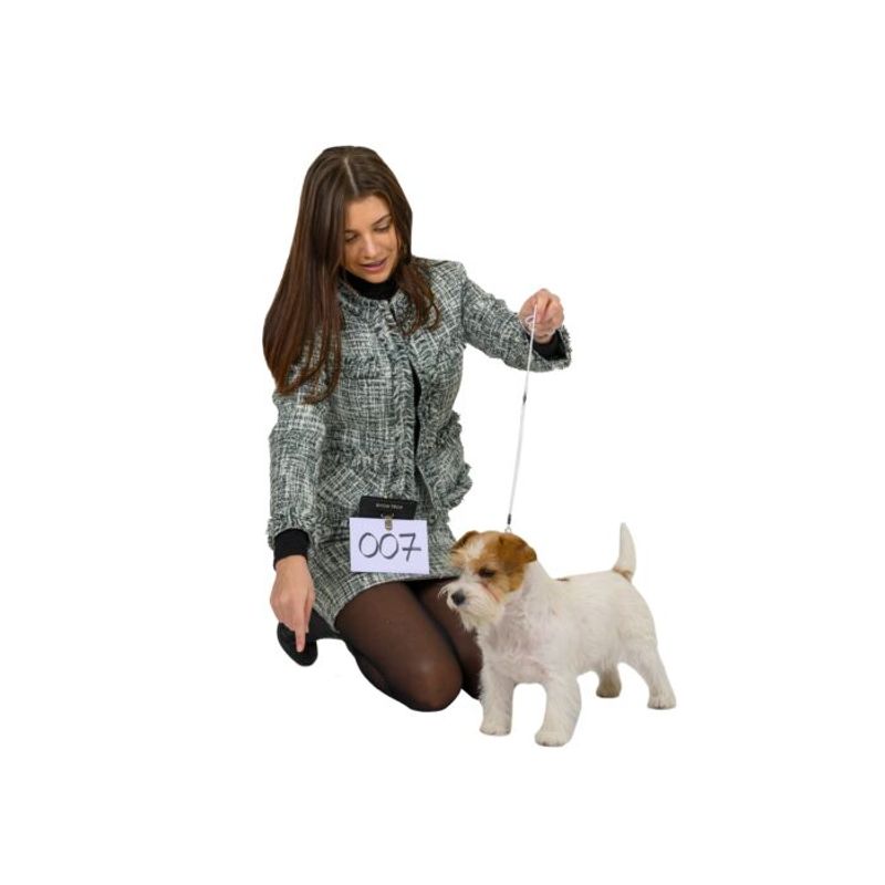 Faux Leather Treat Pouch With Magnetic Closure, ShowTech